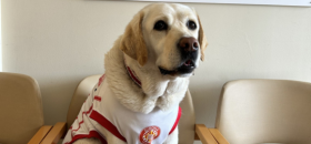 La Canya en el Centre María Gay.