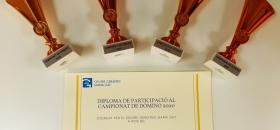 Premios del campeonato