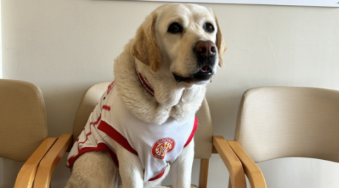 La Canya al Centre Maria Gay.