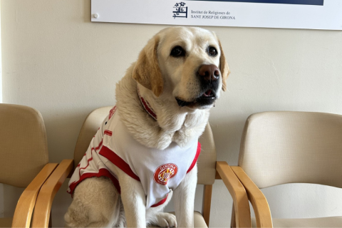 La Canya de Girona FC