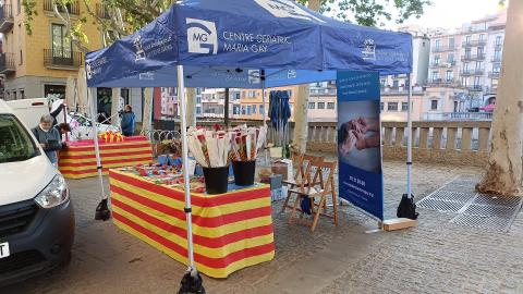 Parada Sant Jordi 2024