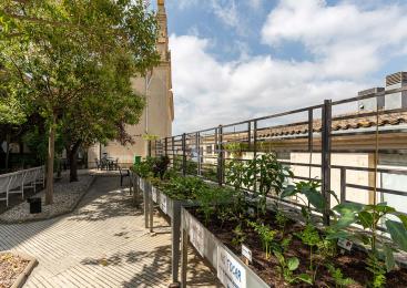 Fotografia de l'hort urbà del Centre Geriàtric Maria Gay