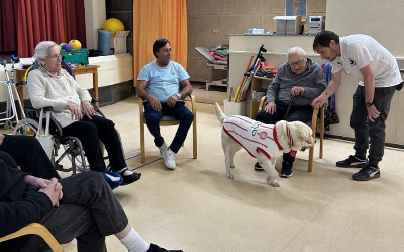 Sessió grupal amb La Canya.