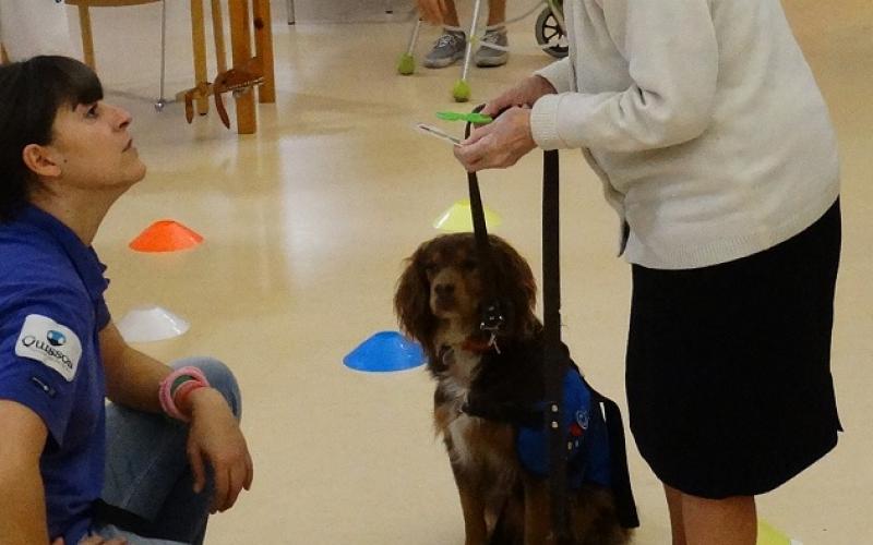 Terapia con perros en el Centro Maria Gay de Girona