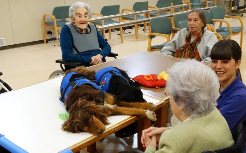 Terapia con perros en el Centro Maria Gay de Girona
