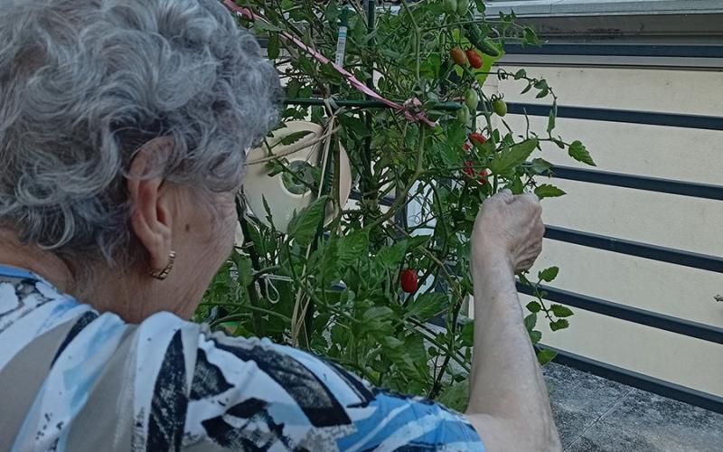 Hort del Centre Maria Gay.