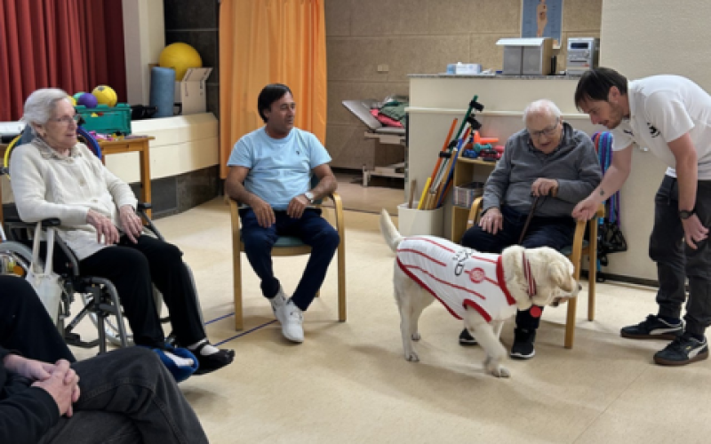 Sessión grupal en el gimnasio con La Canya. Sessión grupal en el gimnasio con La Canya.