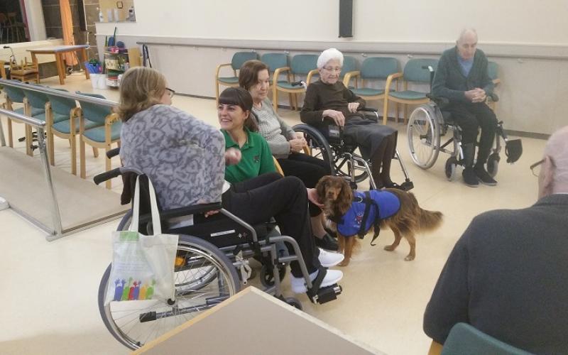 Reiniciamos la Terápia con Canes en el Centro Maria Gay de Girona 