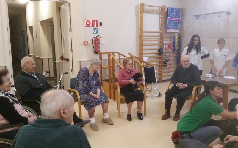 Reiniciem la teràpia amb cans al Centre Maria Gay de Girona