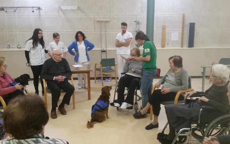 Reiniciem la teràpia amb cans al Centre Maria Gay de Girona