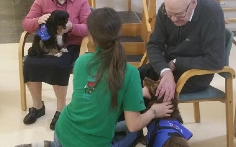 Reiniciem la teràpia amb cans al Centre Maria Gay de Girona