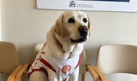 La Canya de Girona FC